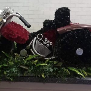 BES 0060