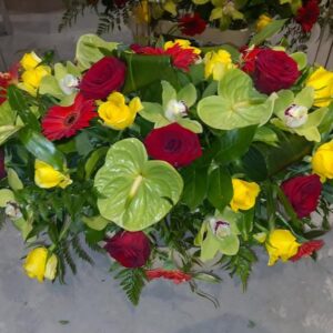 CS 0008